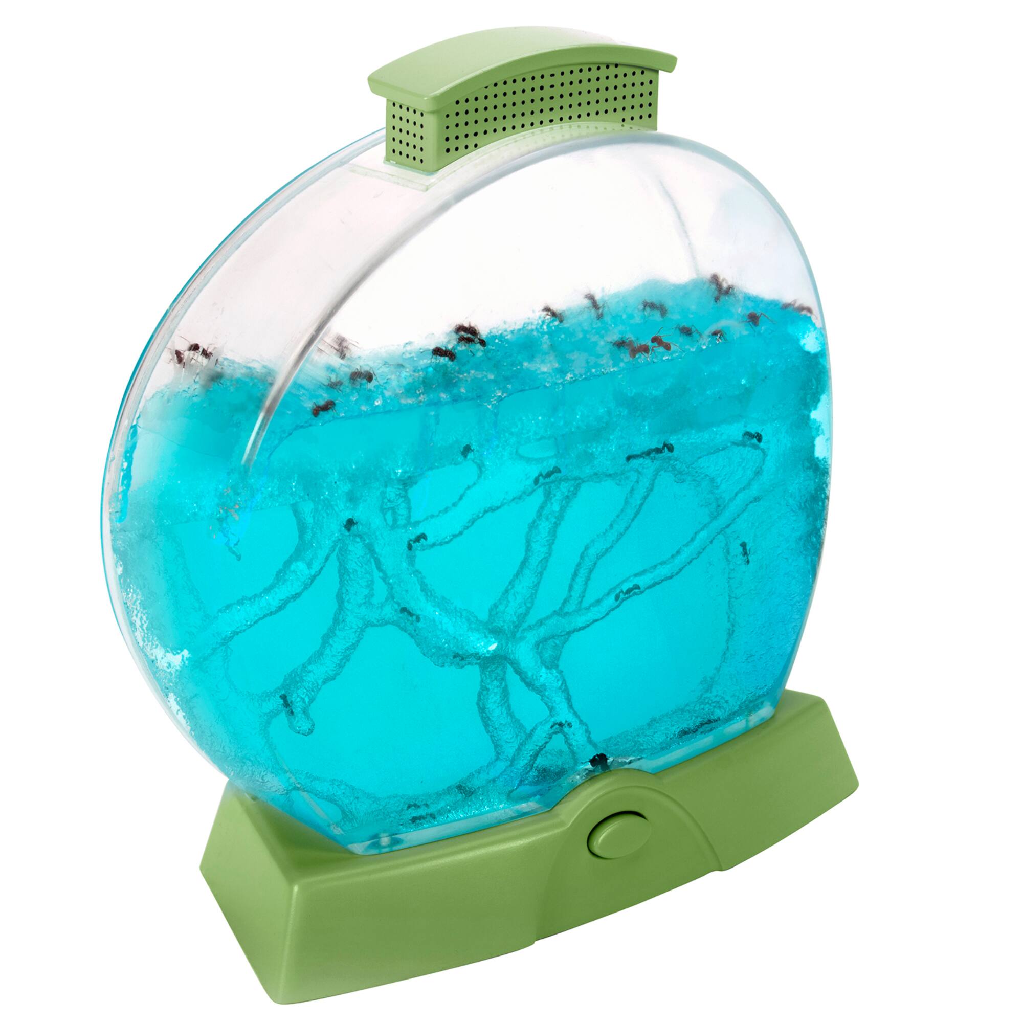 Educational Insights® Geosafari® Day 'N' Night Ant Factory